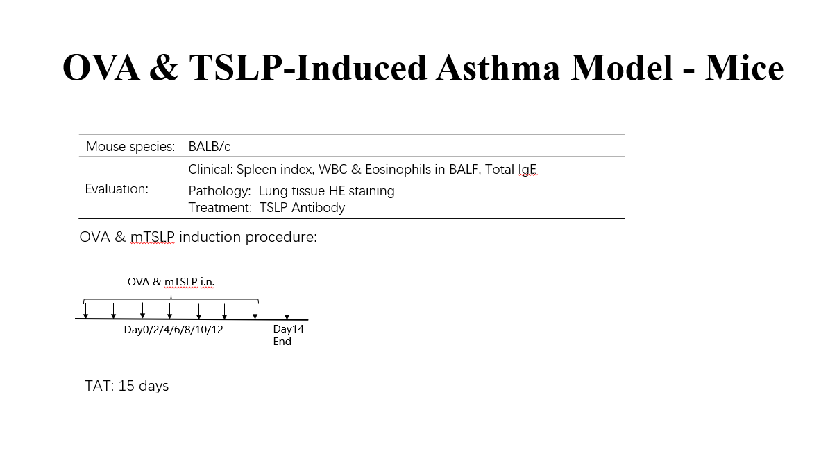 正在上传... image.png