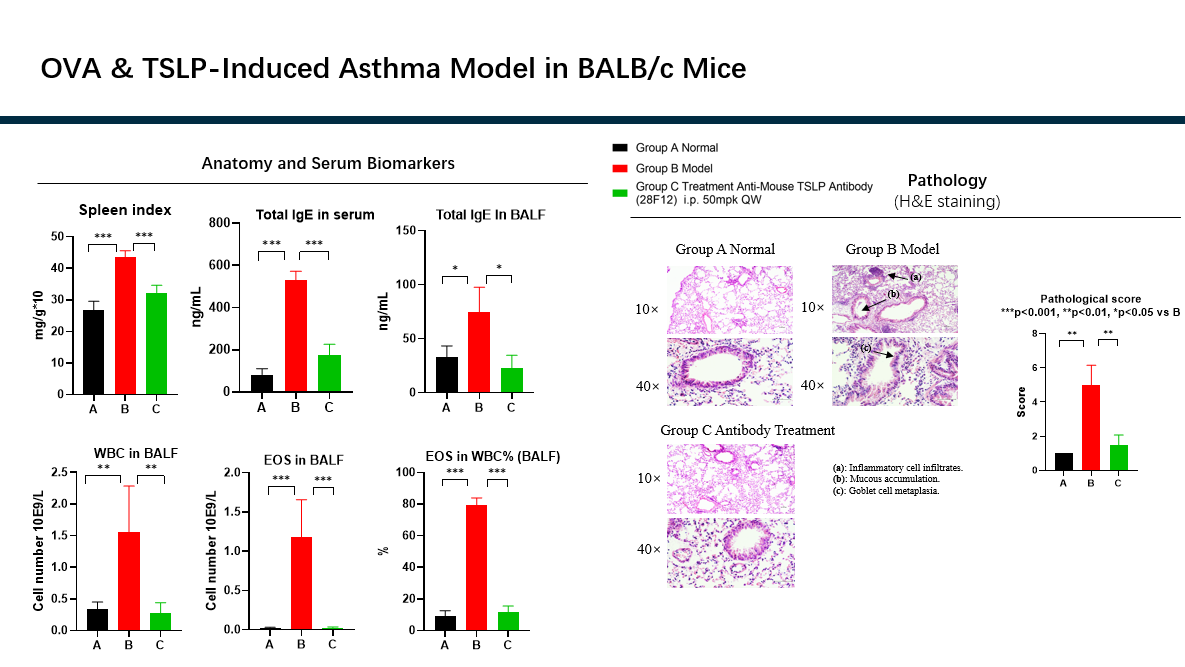 正在上传... image.png