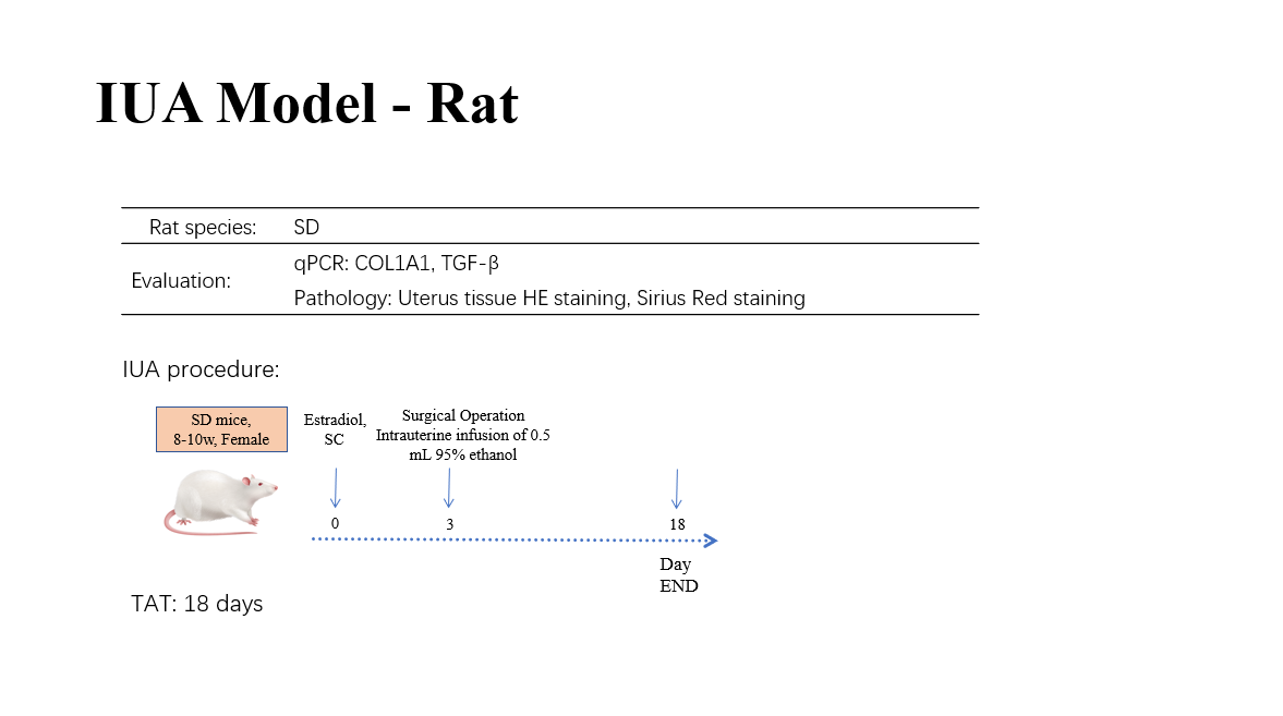 正在上传... image.png
