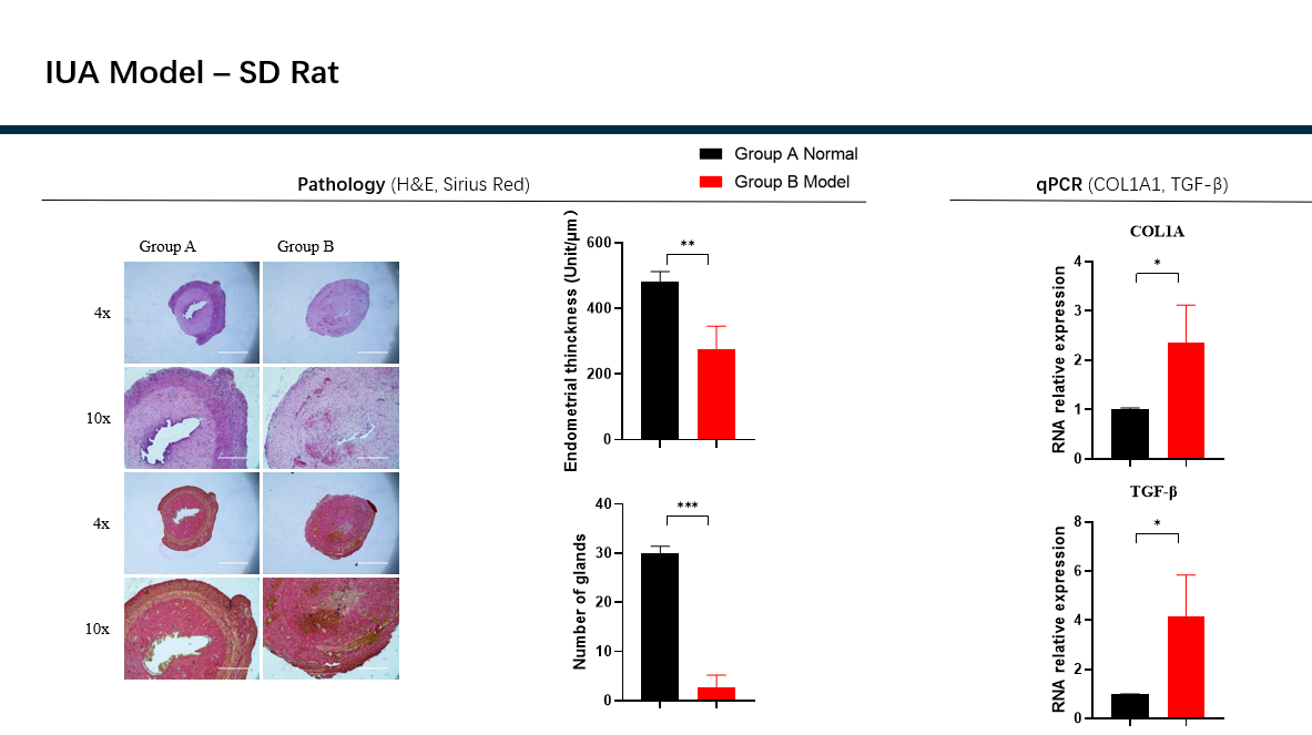 正在上传... image.png